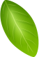 App-Leaf-Image